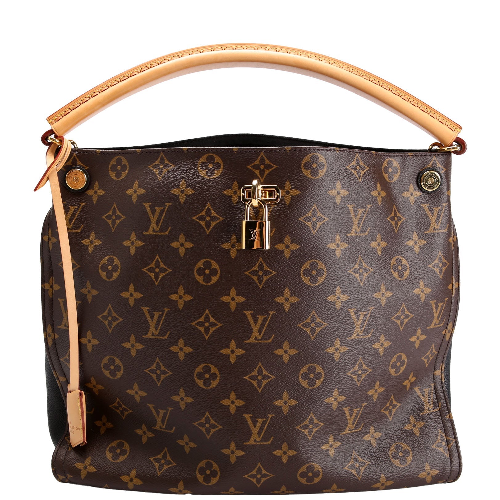Louis Vuitton Gaia Monogram