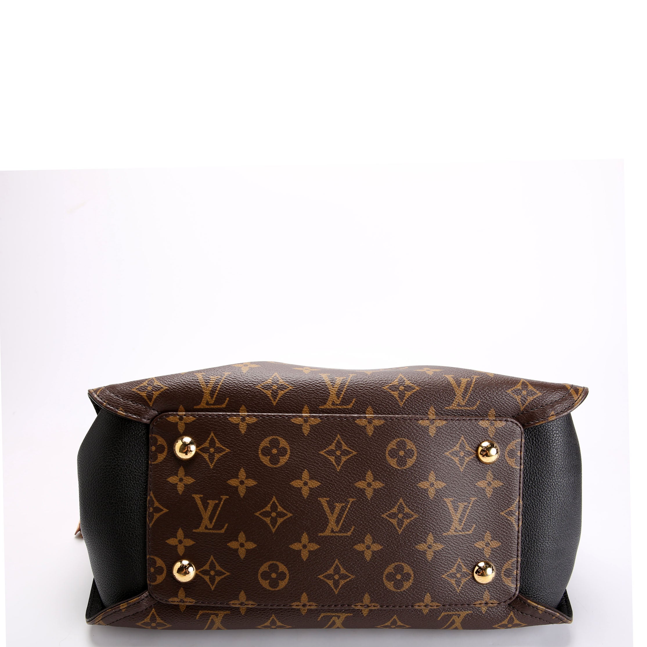 Louis Vuitton Gaia Monogram