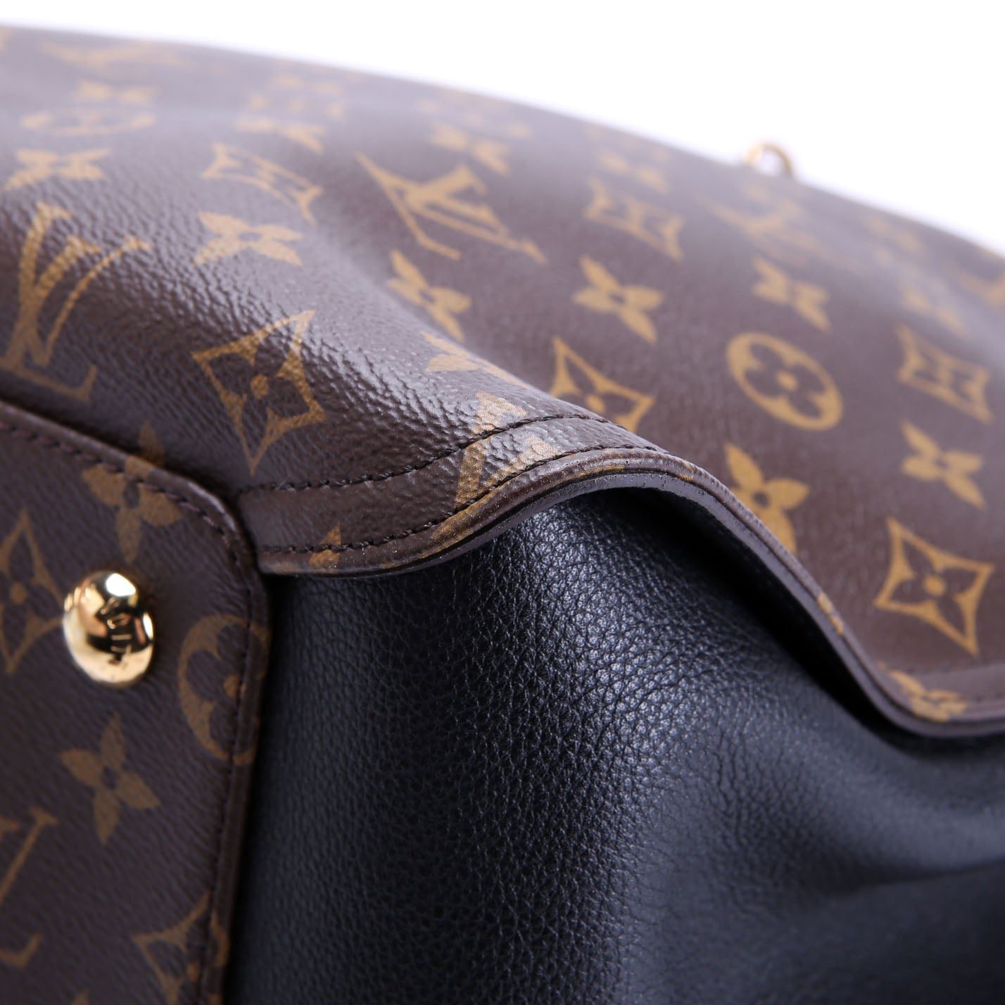 Louis Vuitton Gaia Monogram
