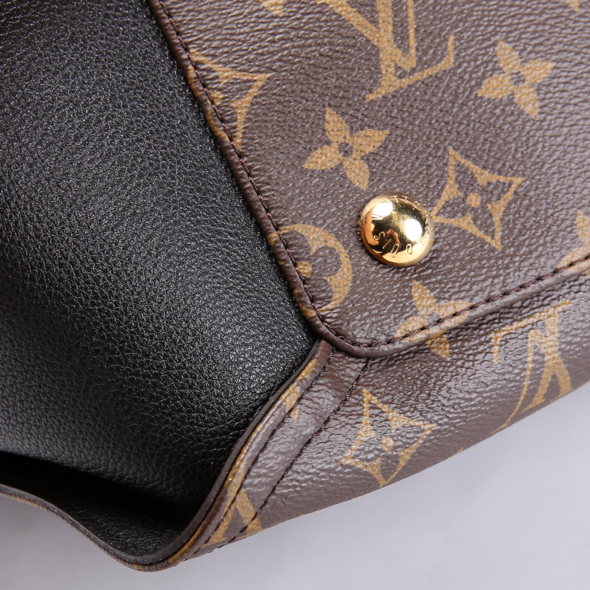 Louis Vuitton Gaia Monogram