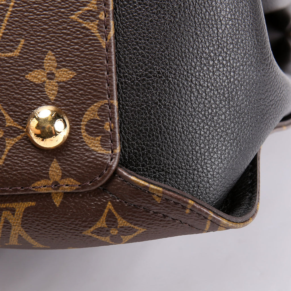 Louis Vuitton Gaia Monogram