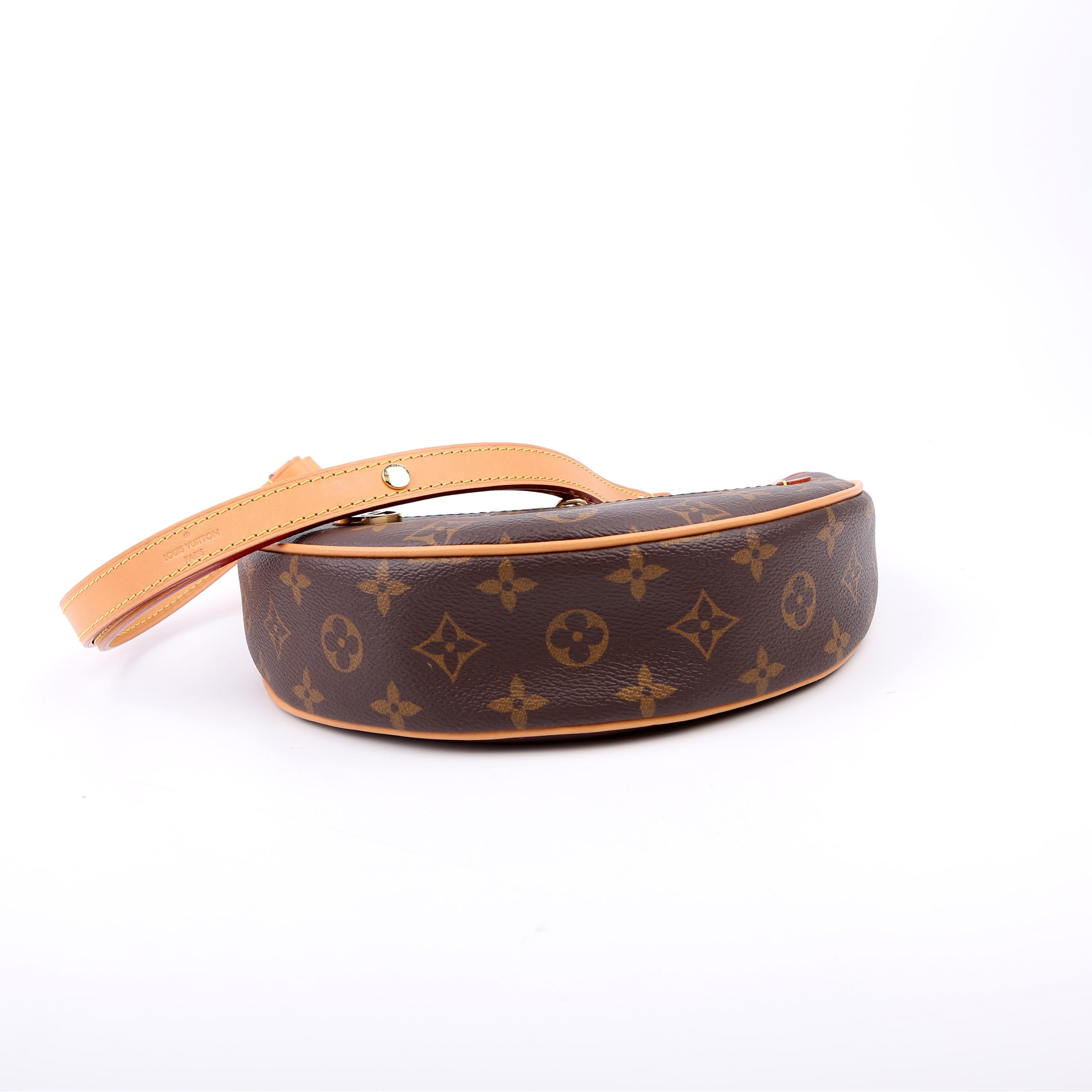 Louis Vuitton Loop Monogram