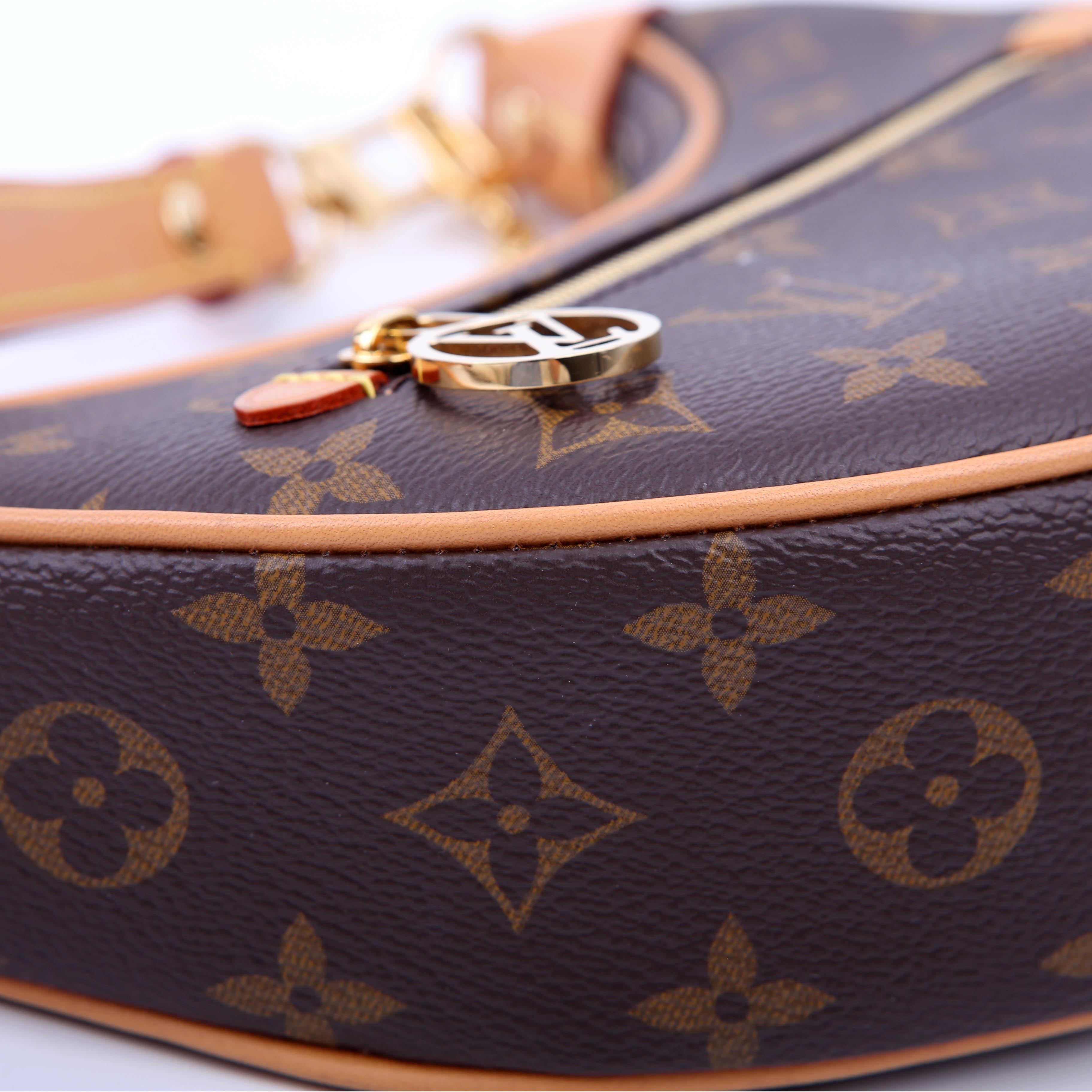 Louis Vuitton Loop Monogram