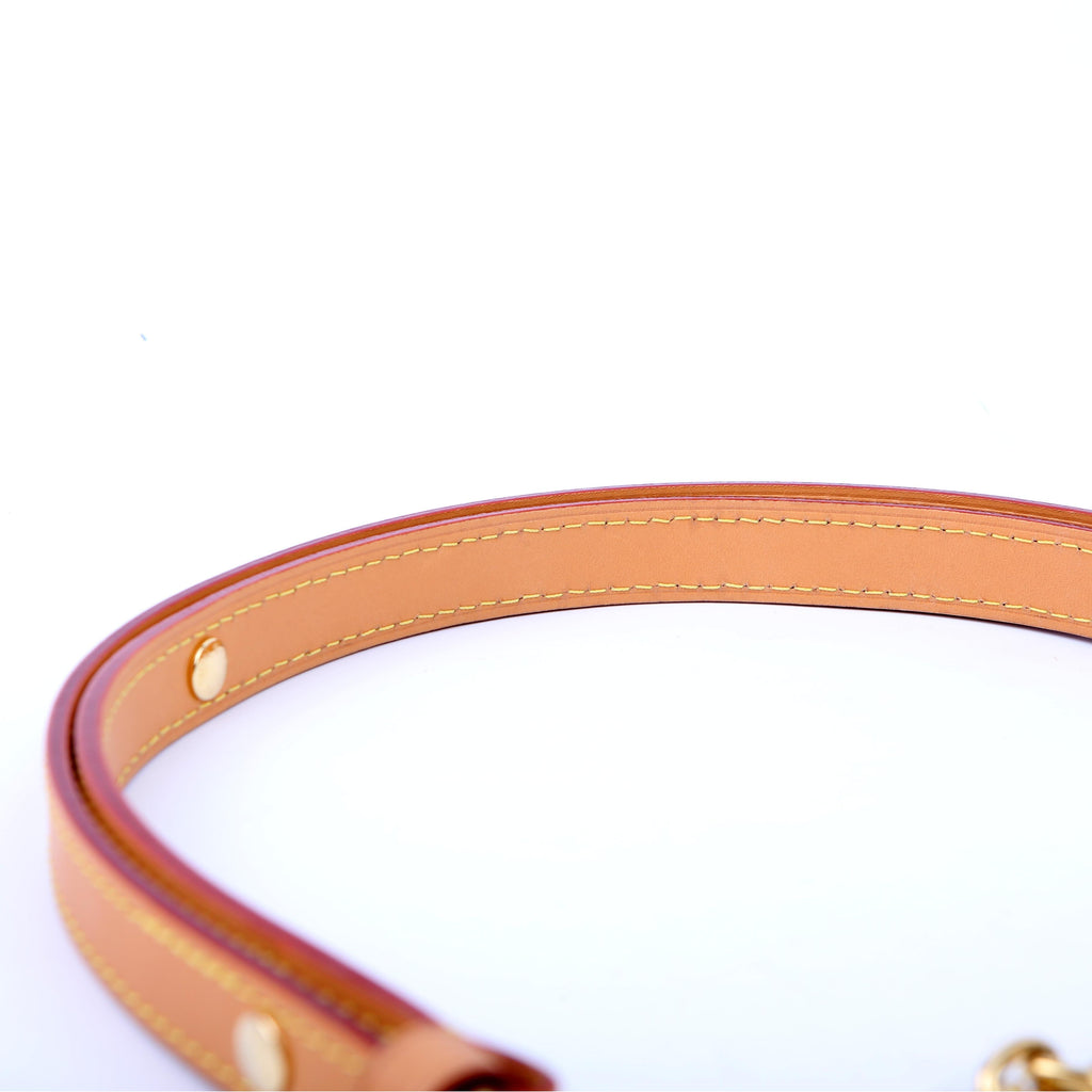 Louis Vuitton Loop Monogram