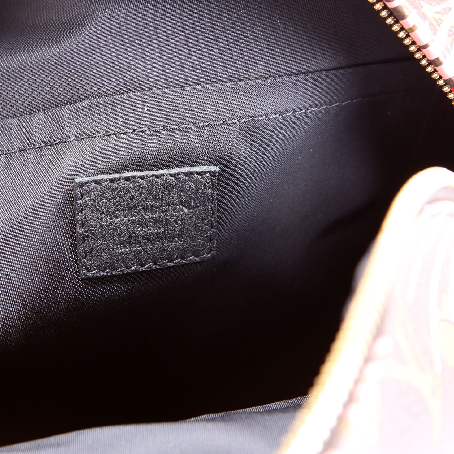 Louis Vuitton Palm Springs PM Jungle Dots
