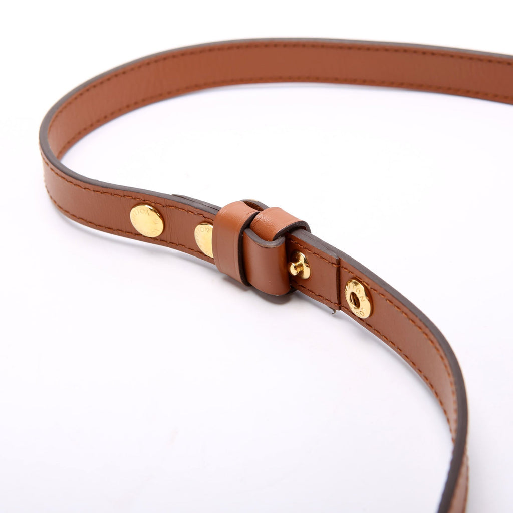 Louis Vuitton Dauphine Mini Reverse Monogram