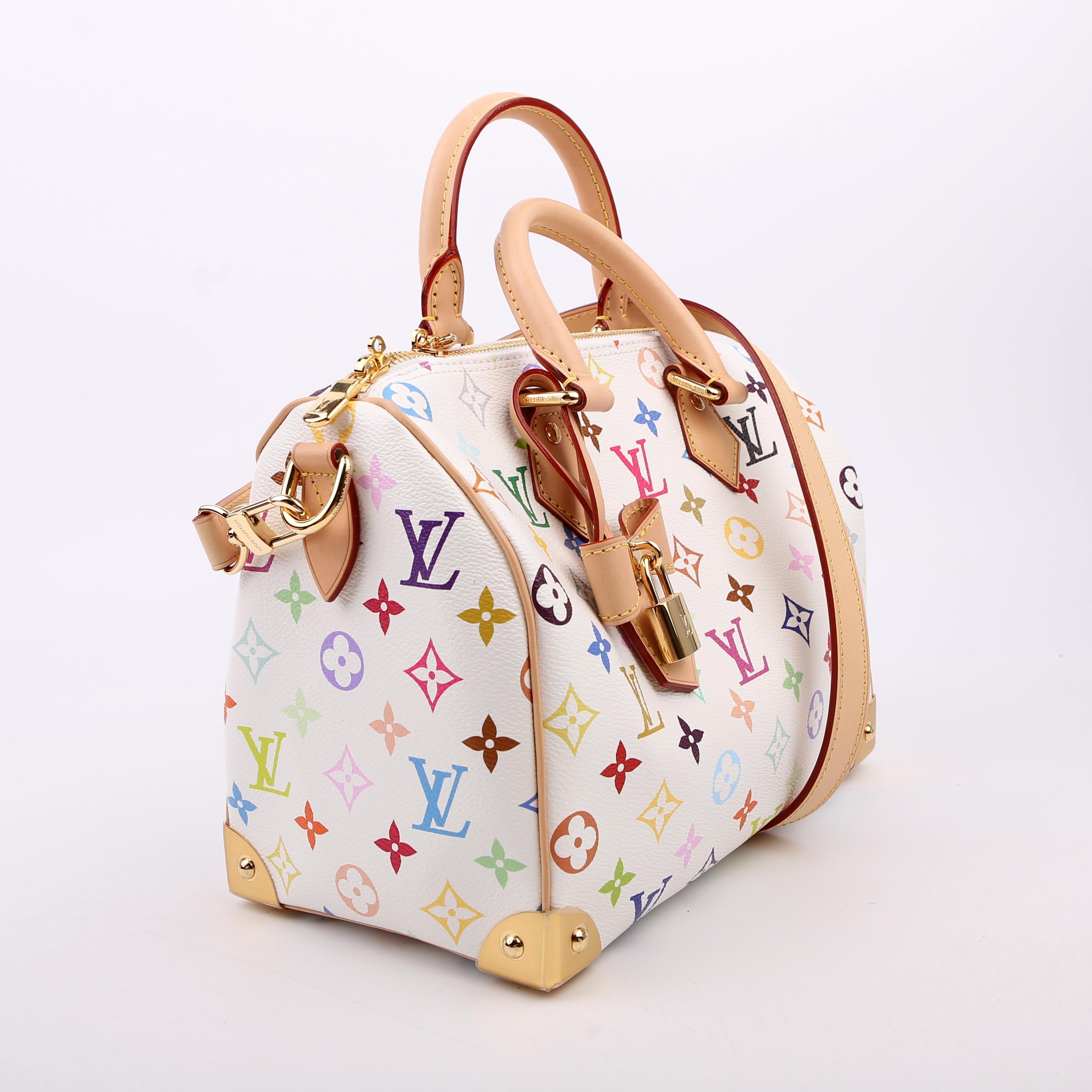 Louis Vuitton LV x TM Speedy 25 Bandouliere Multicolor