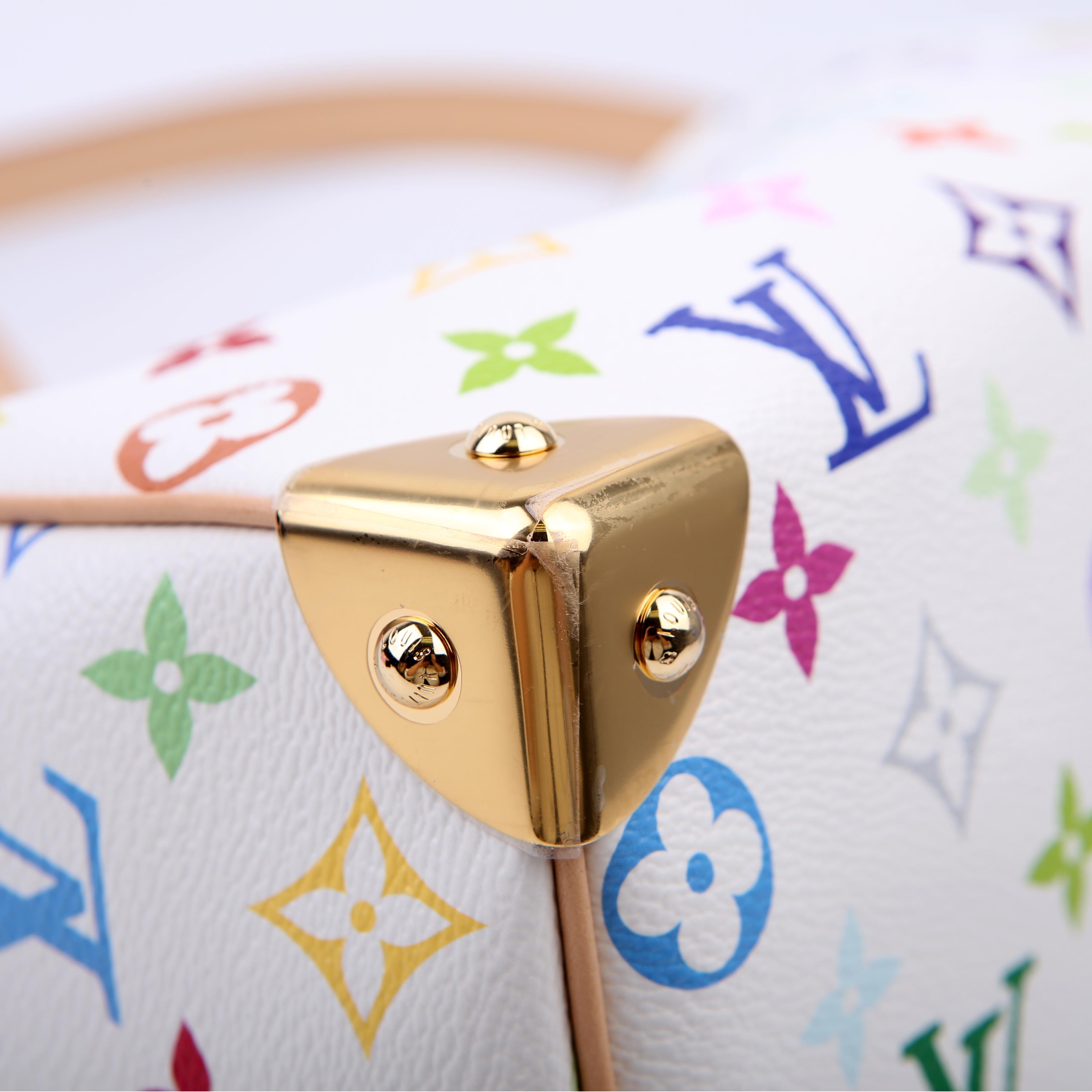 Louis Vuitton LV x TM Speedy 25 Bandouliere Multicolor