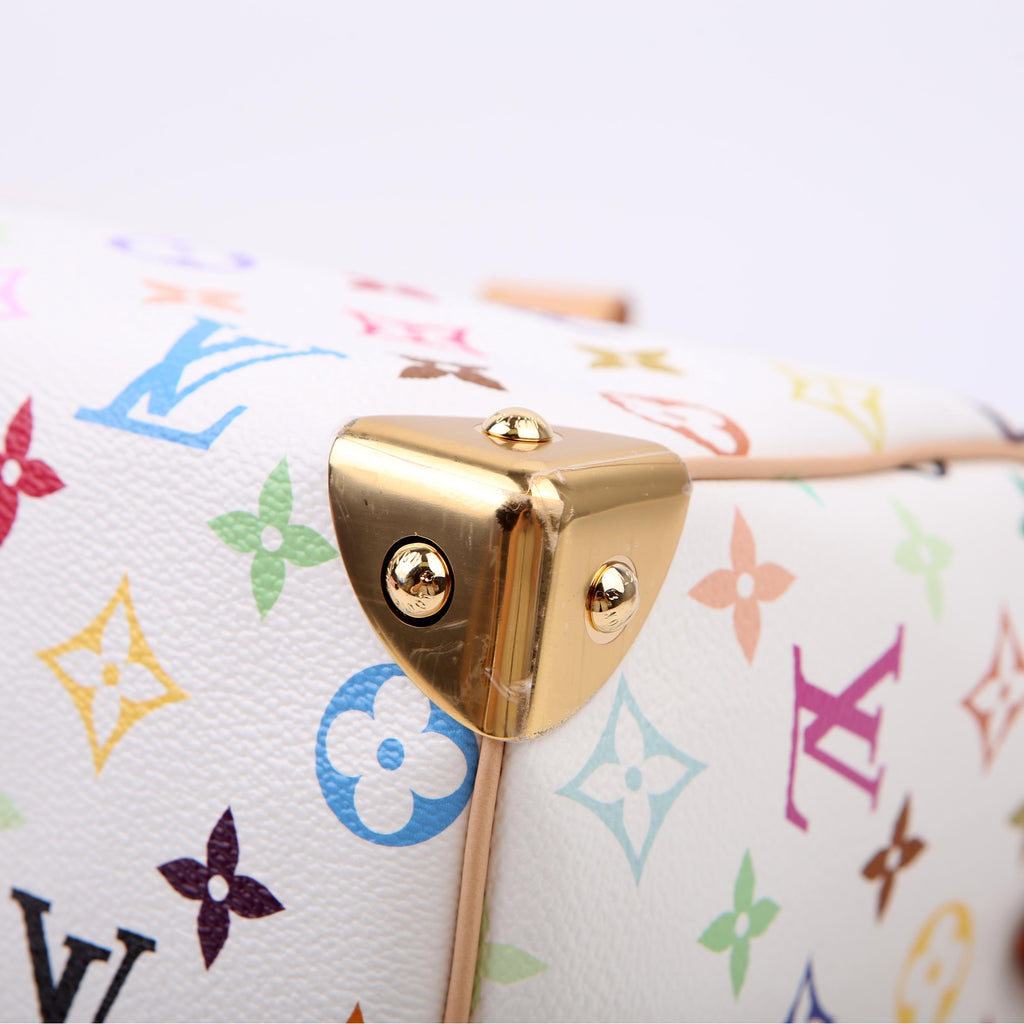 Louis Vuitton LV x TM Speedy 25 Bandouliere Multicolor