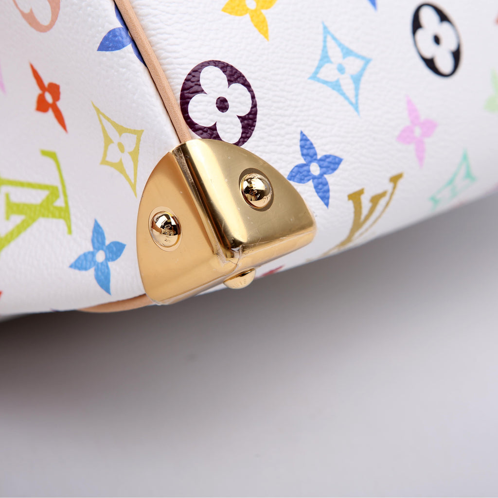 Louis Vuitton LV x TM Speedy 25 Bandouliere Multicolor