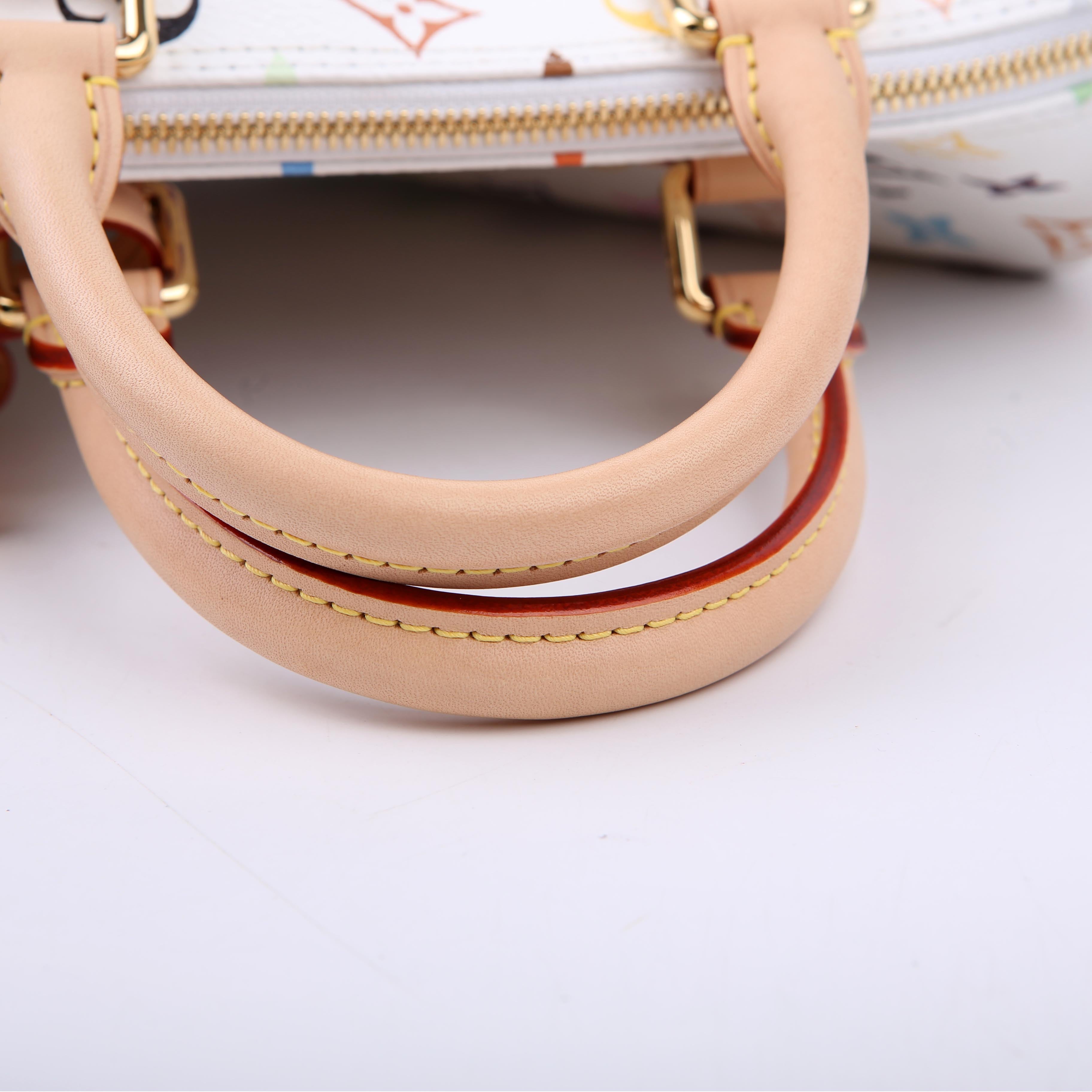 Louis Vuitton LV x TM Speedy 25 Bandouliere Multicolor