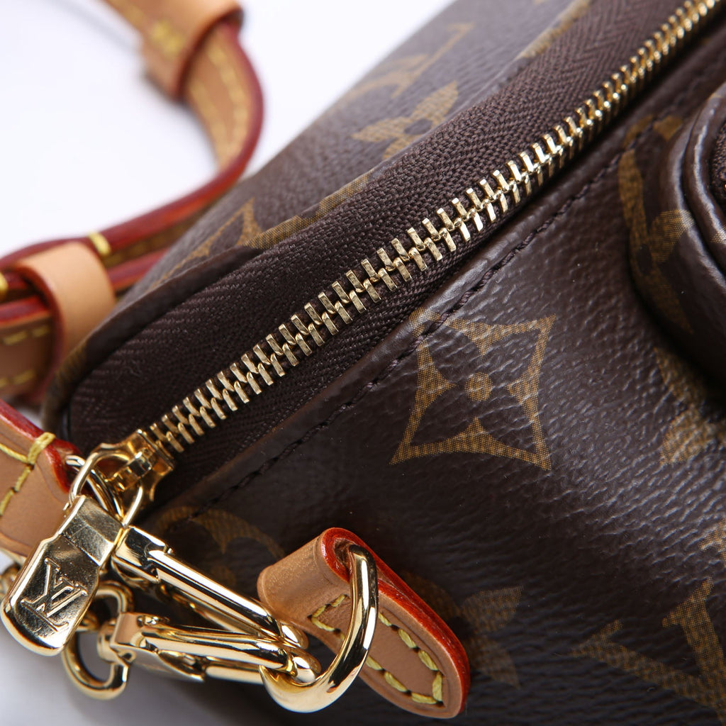 Louis Vuitton Mini Bumbag Monogram