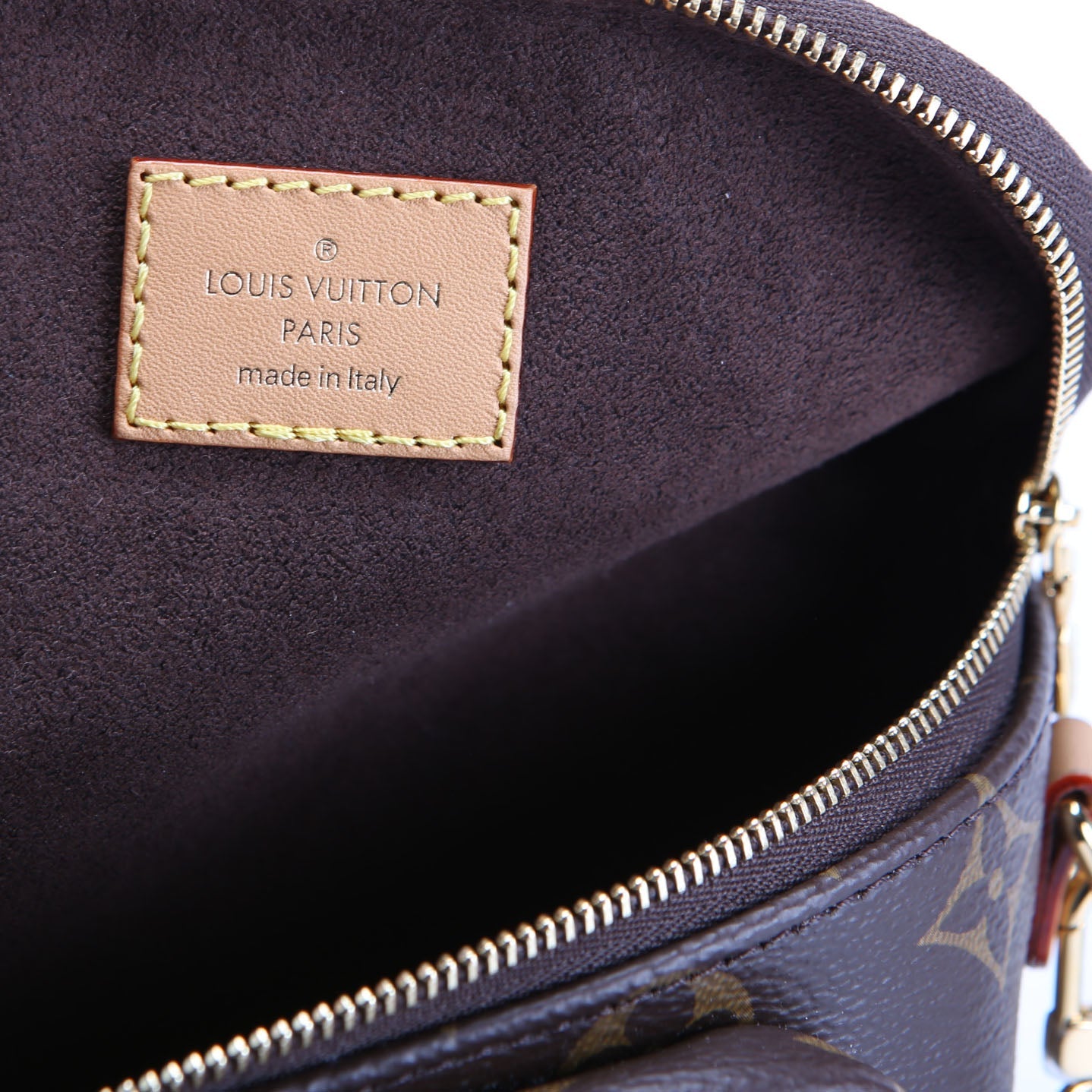 Louis Vuitton Mini Bumbag Monogram
