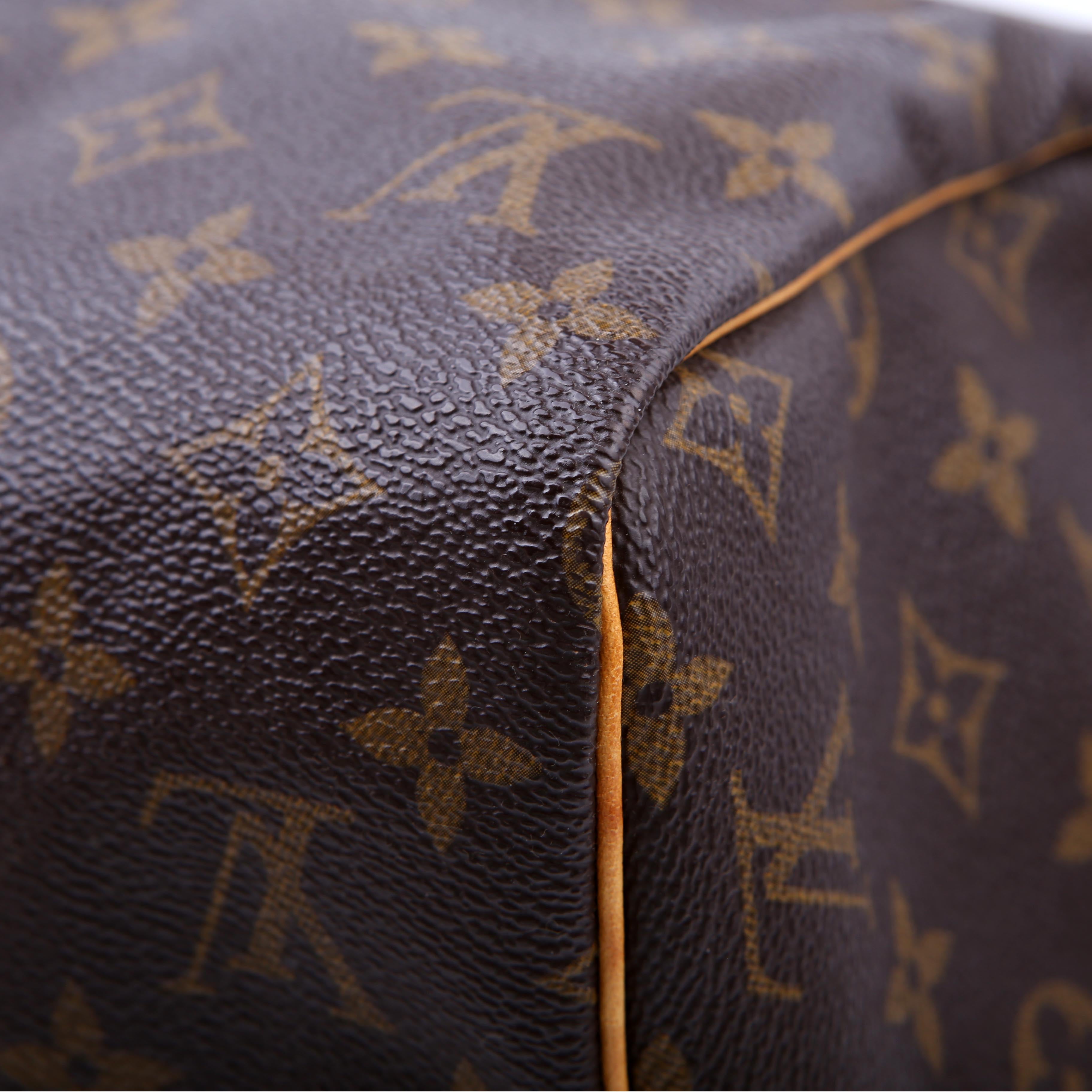 Louis Vuitton Speedy 30 Monogram
