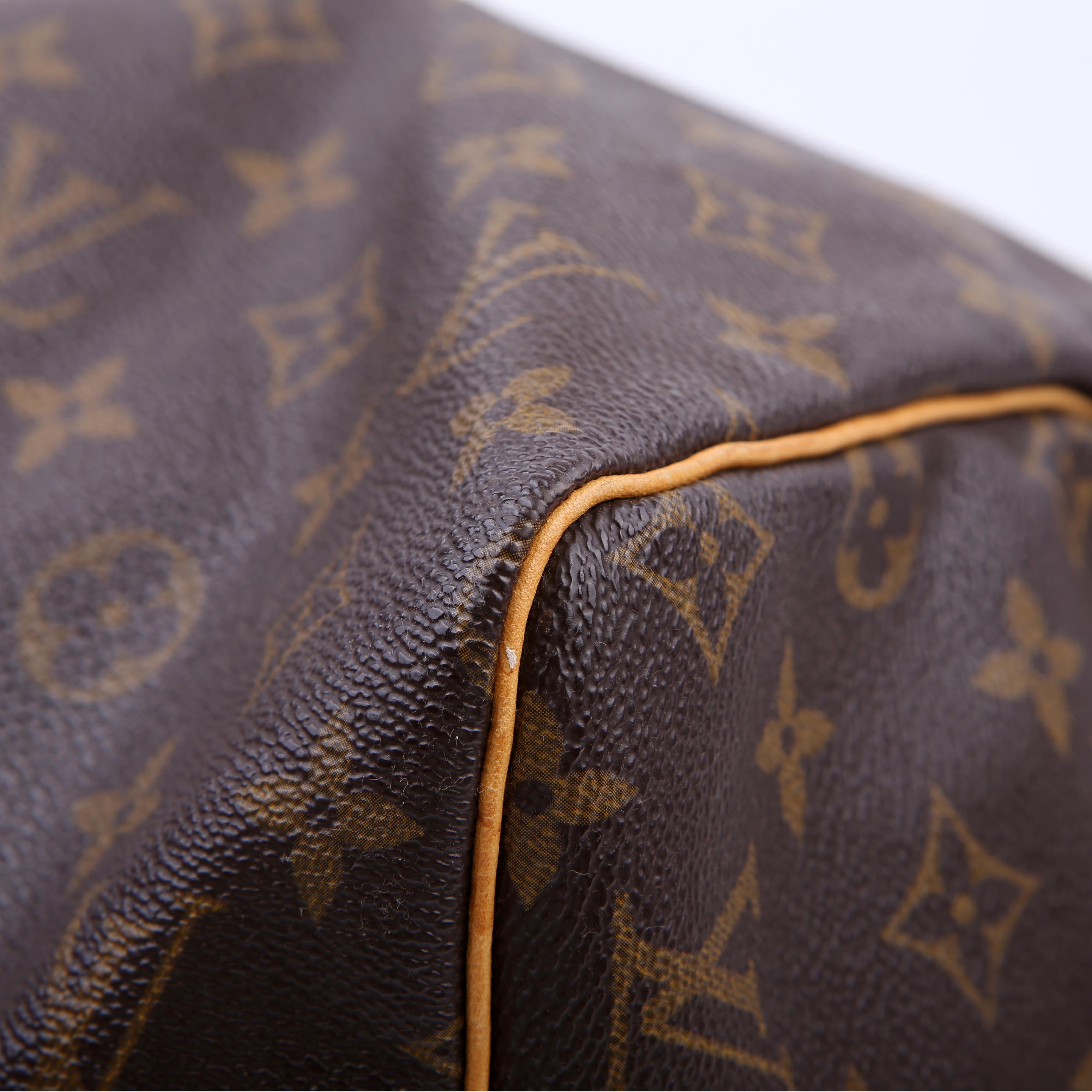 Louis Vuitton Speedy 30 Monogram