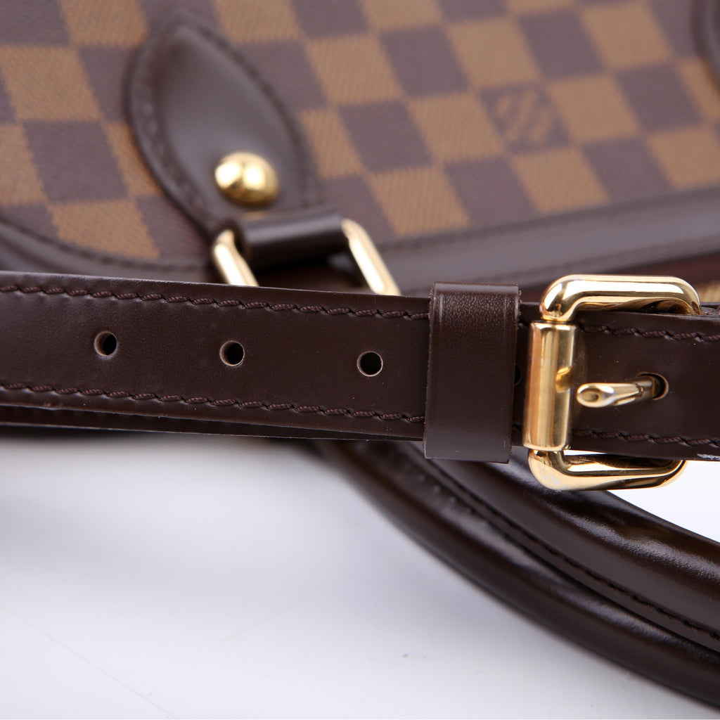 Louis Vuitton Trevi PM Damier Ebene
