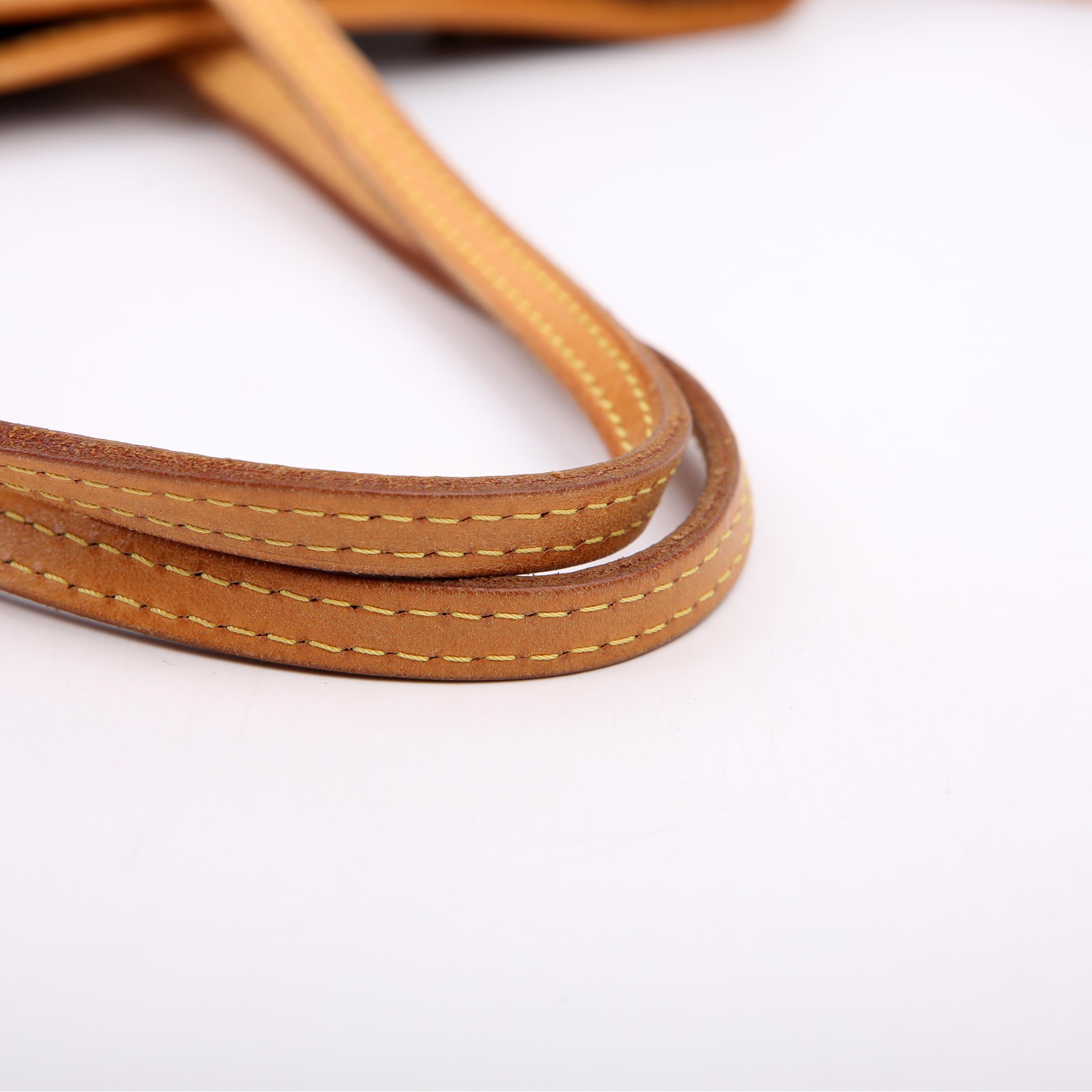 Louis Vuitton Neverfull PM Monogram