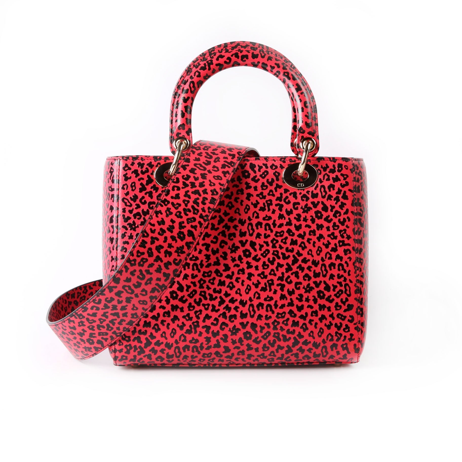Christian Dior Lady Dior Medium Printed Leather