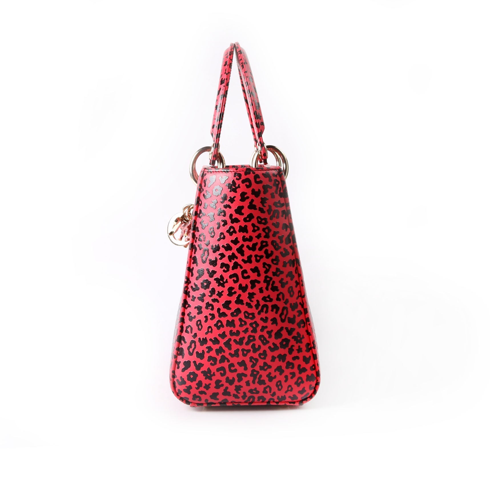 Christian Dior Lady Dior Medium Printed Leather