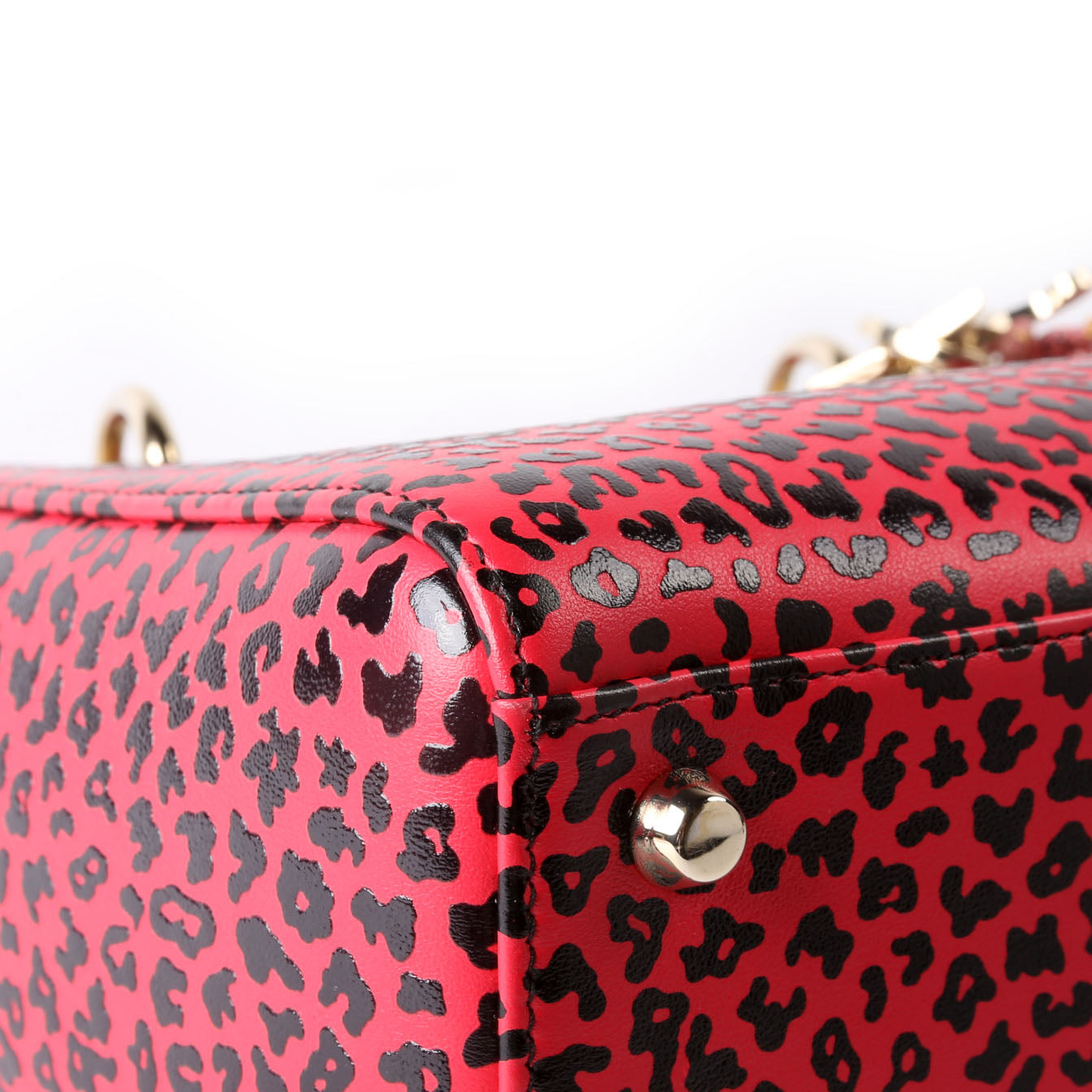 Christian Dior Lady Dior Medium Printed Leather