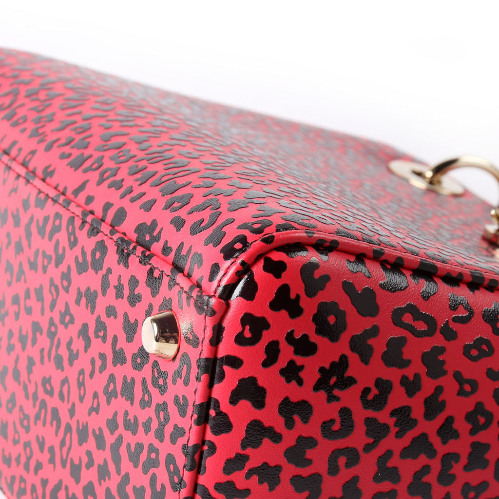 Christian Dior Lady Dior Medium Printed Leather