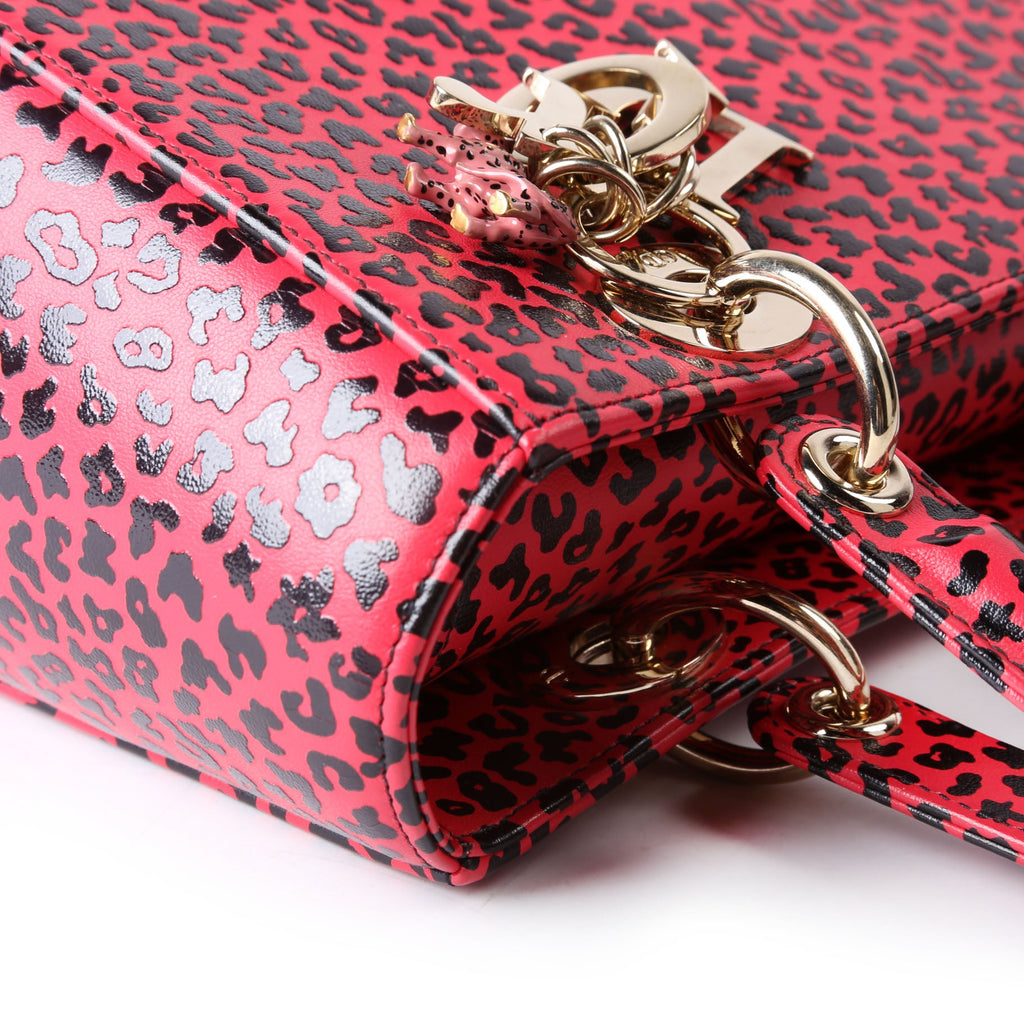Christian Dior Lady Dior Medium Printed Leather