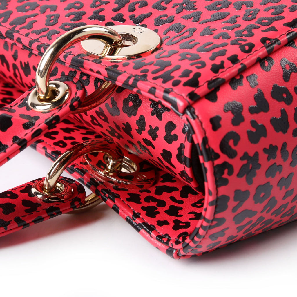 Christian Dior Lady Dior Medium Printed Leather