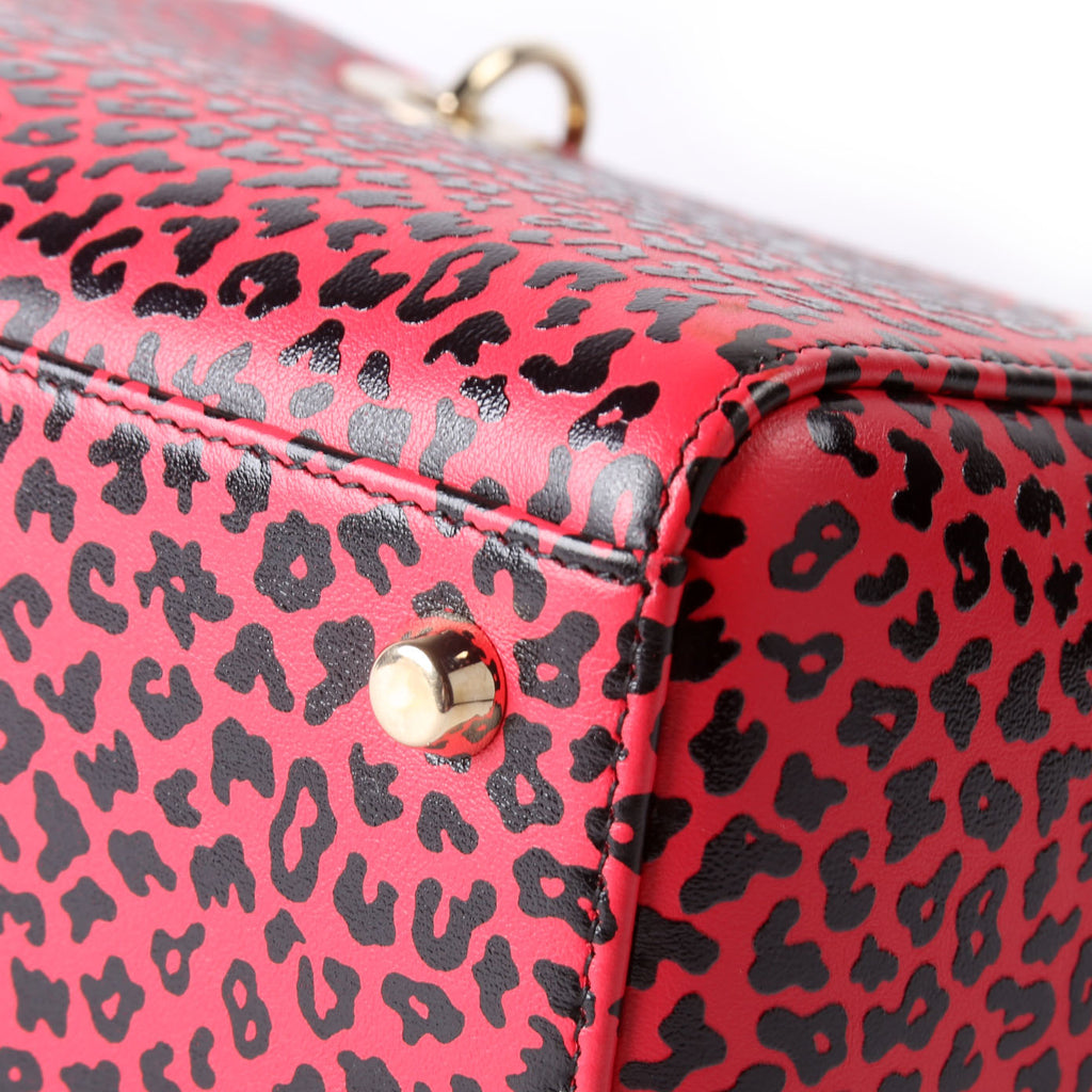 Christian Dior Lady Dior Medium Printed Leather