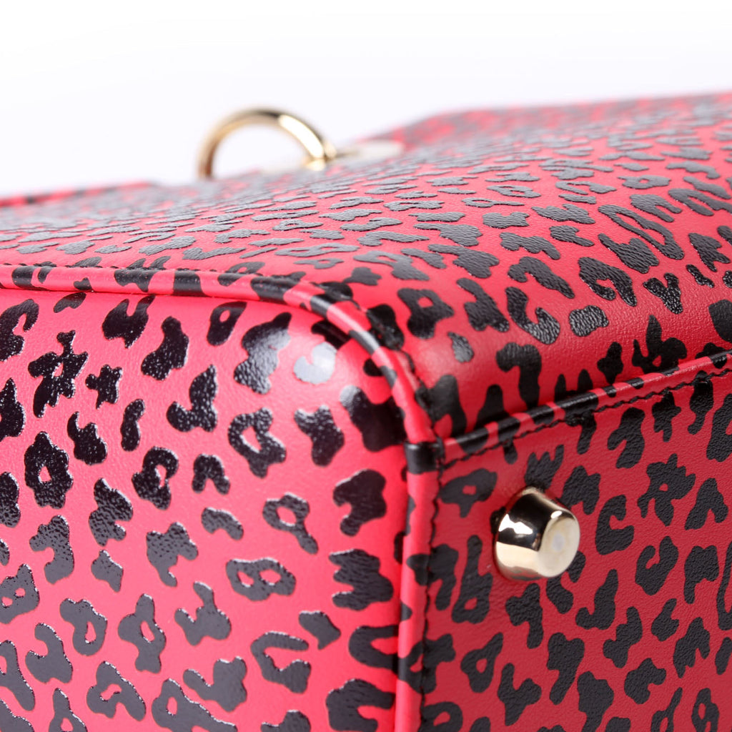 Christian Dior Lady Dior Medium Printed Leather
