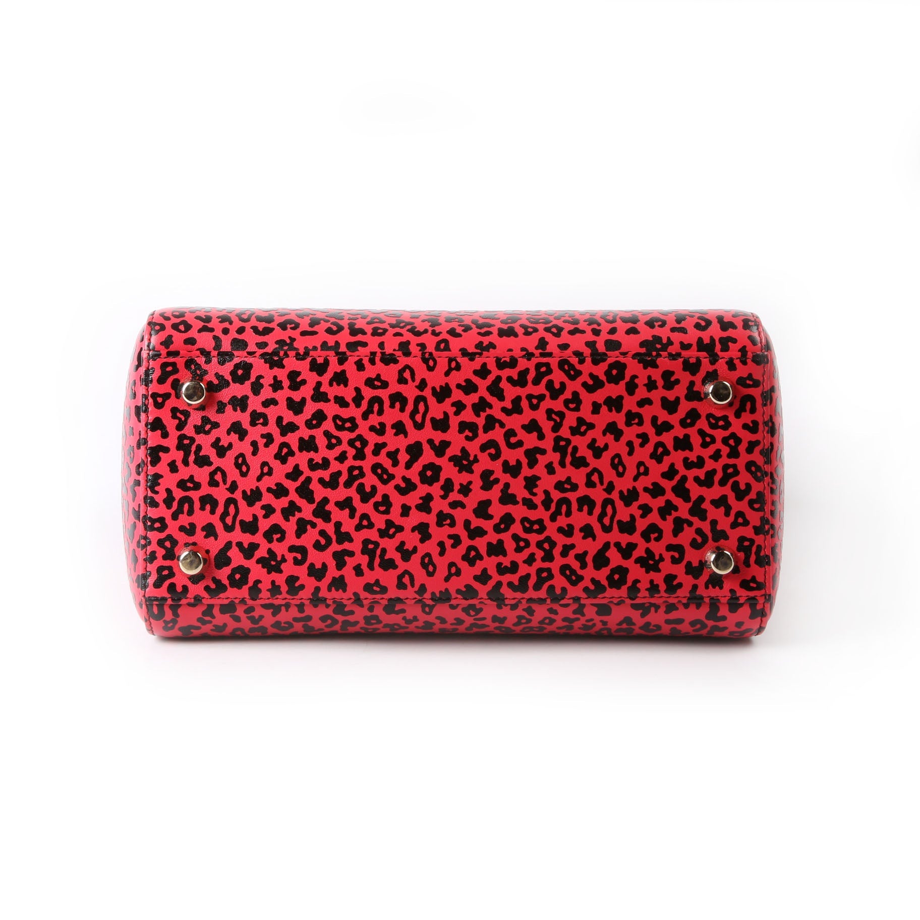 Christian Dior Lady Dior Medium Printed Leather