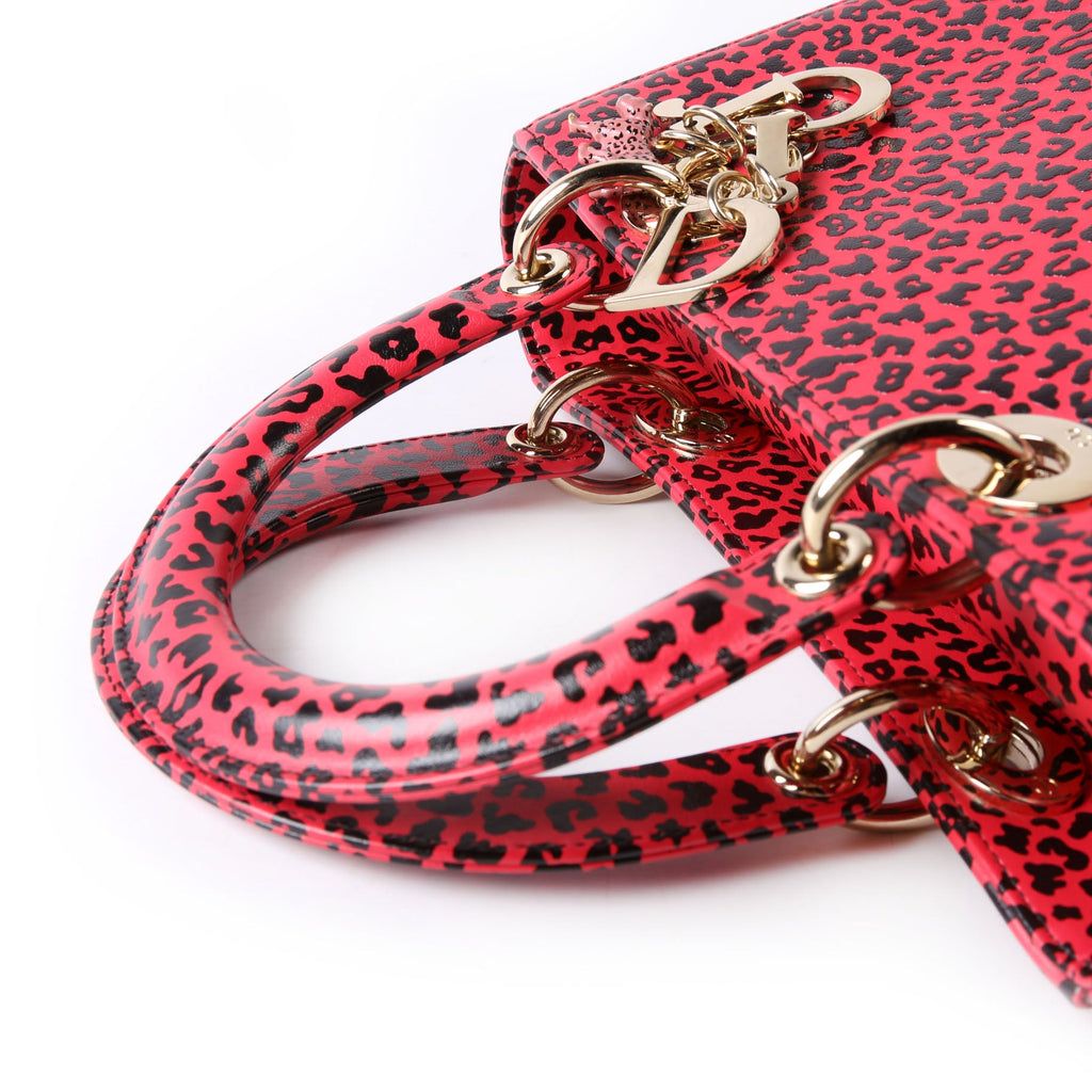 Christian Dior Lady Dior Medium Printed Leather