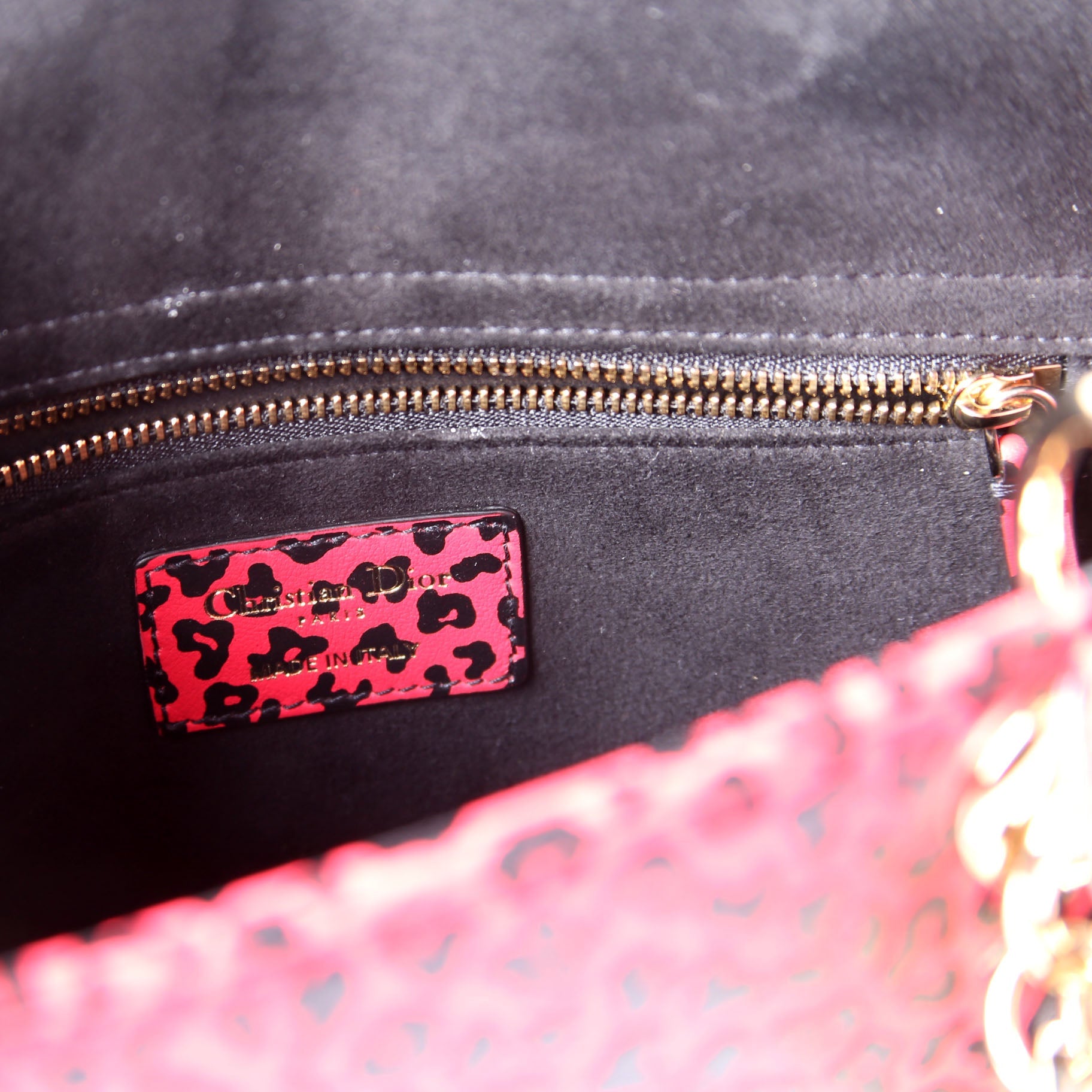 Christian Dior Lady Dior Medium Printed Leather