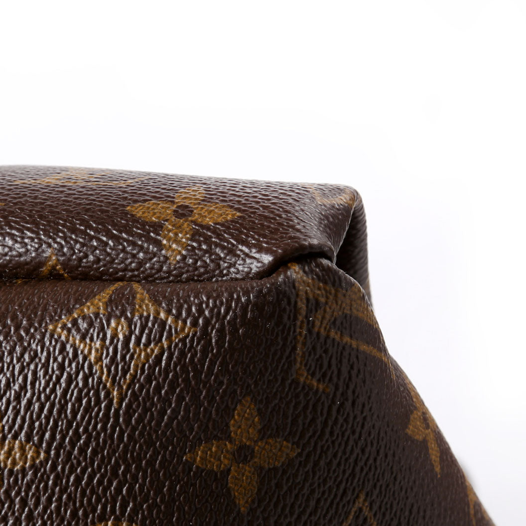 Louis Vuitton Artsy MM Monogram