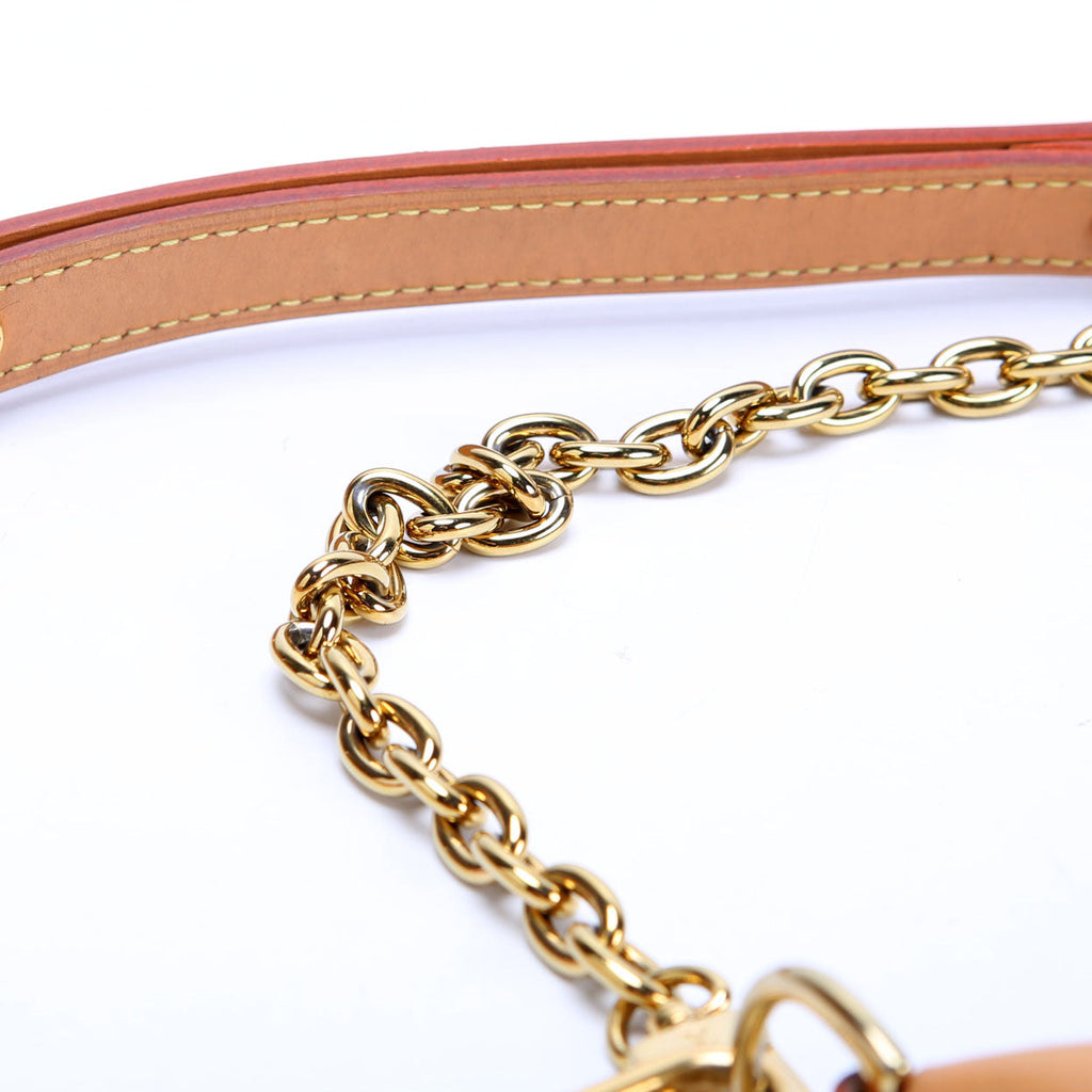Louis Vuitton Loop Monogram