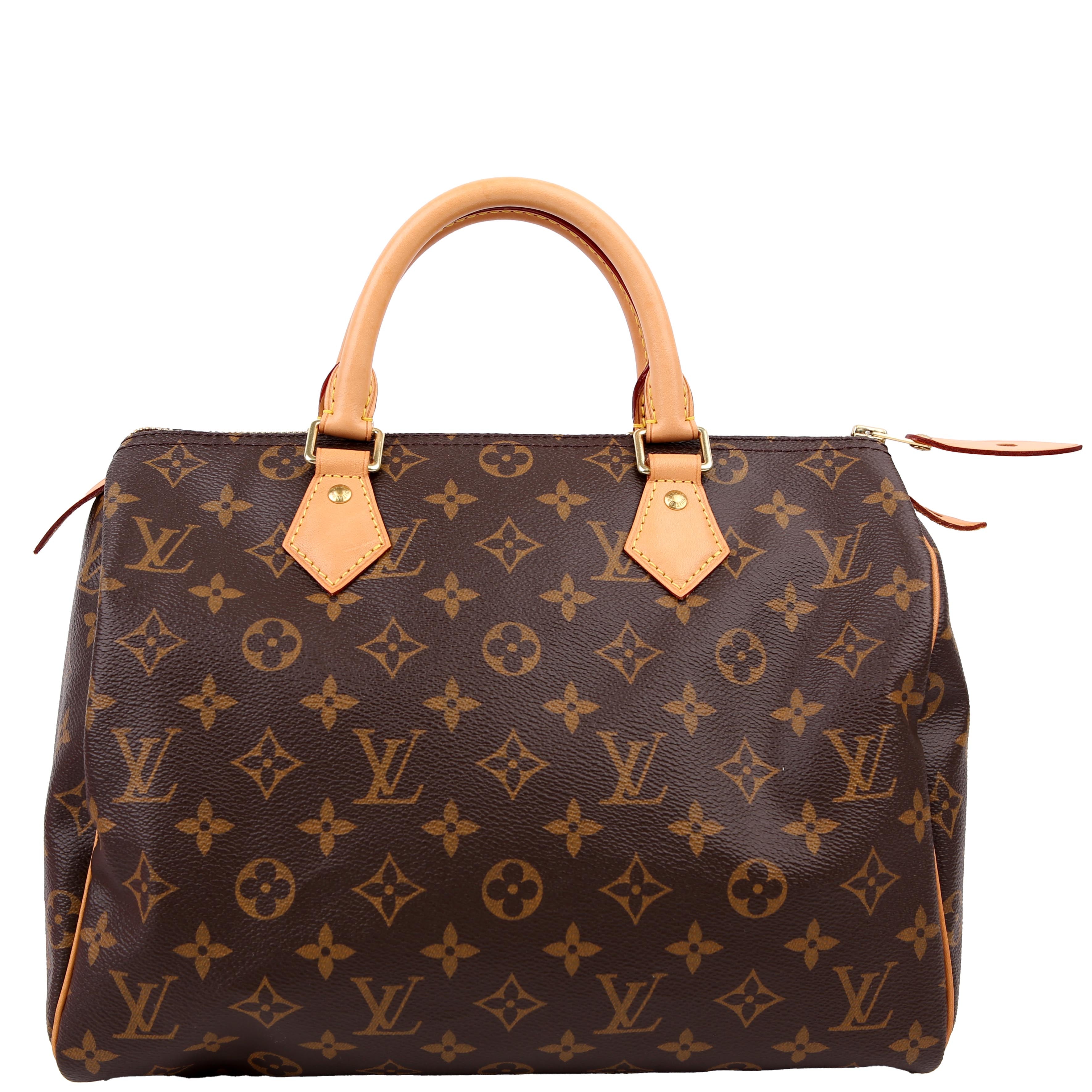 Louis Vuitton Speedy 30 Monogram