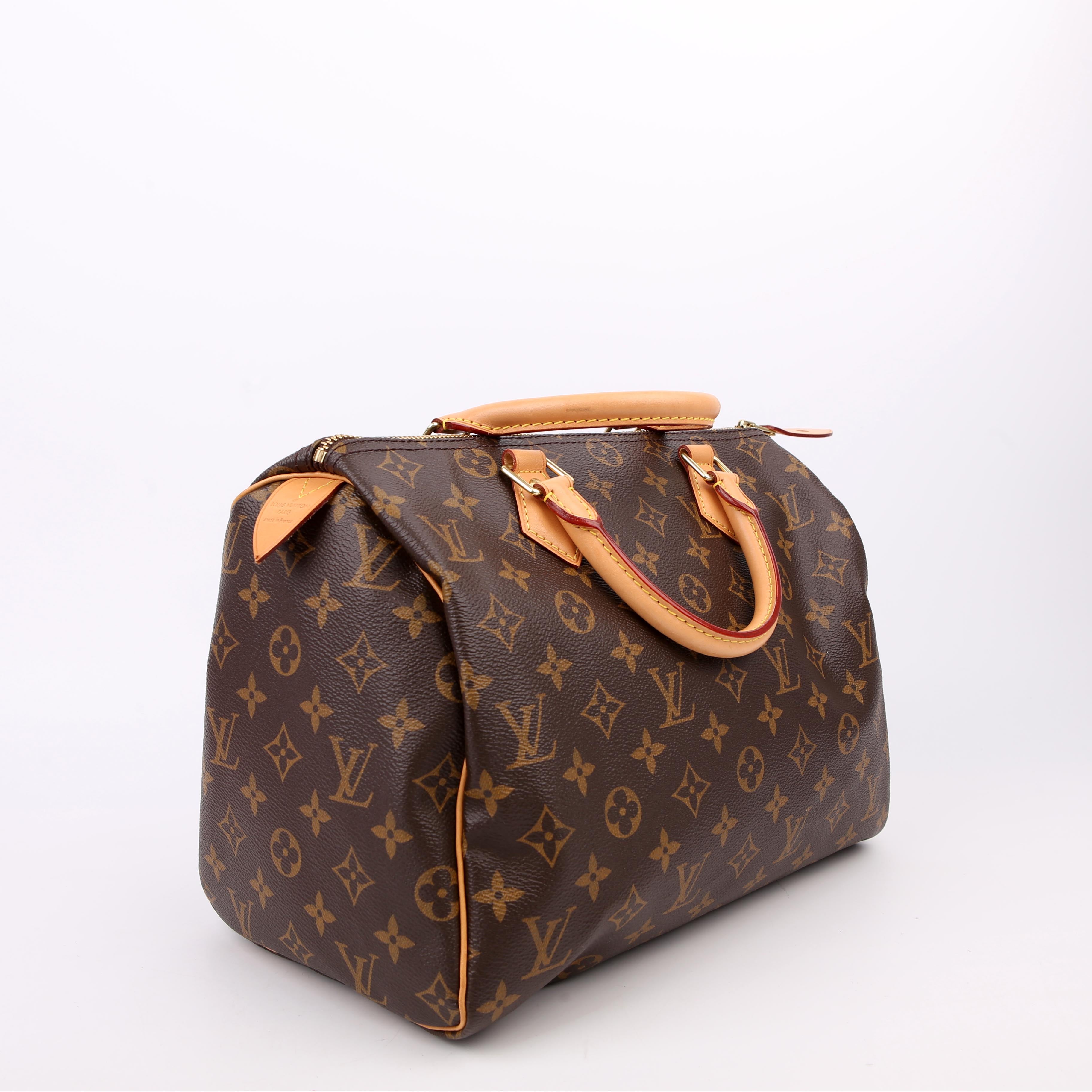 Louis Vuitton Speedy 30 Monogram