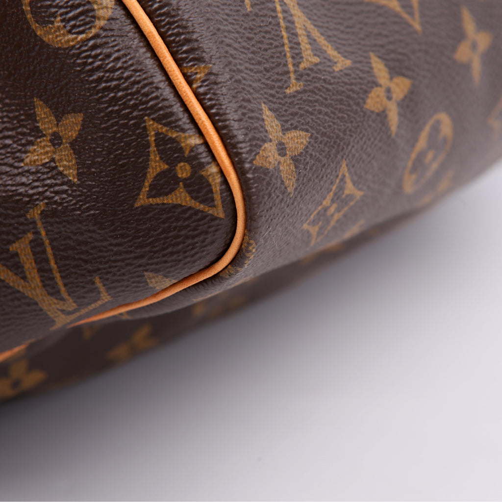 Louis Vuitton Speedy 30 Monogram
