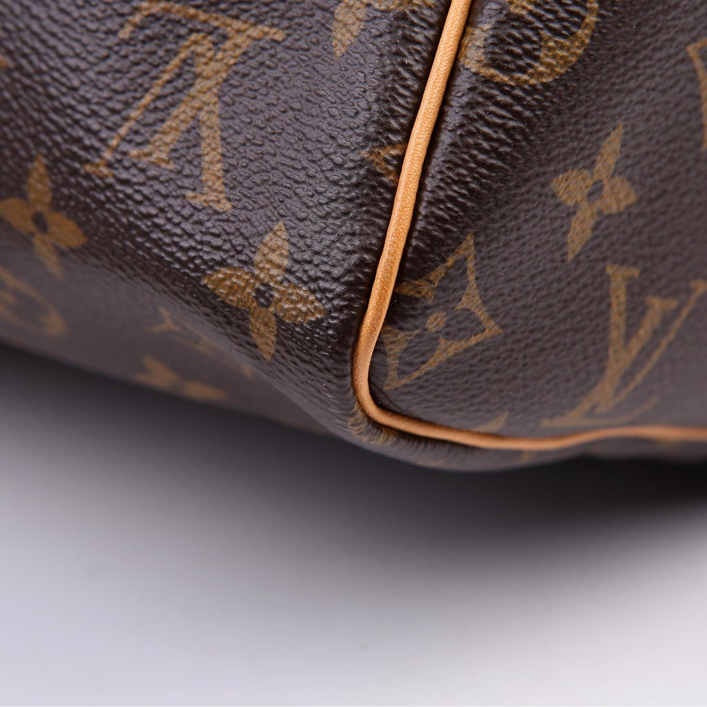 Louis Vuitton Speedy 30 Monogram