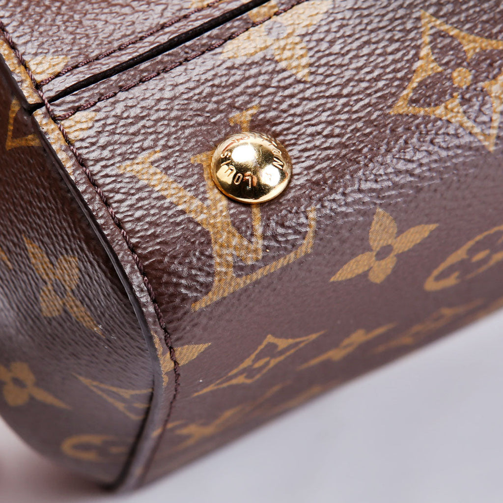 Louis Vuitton Cluny Mini Monogram