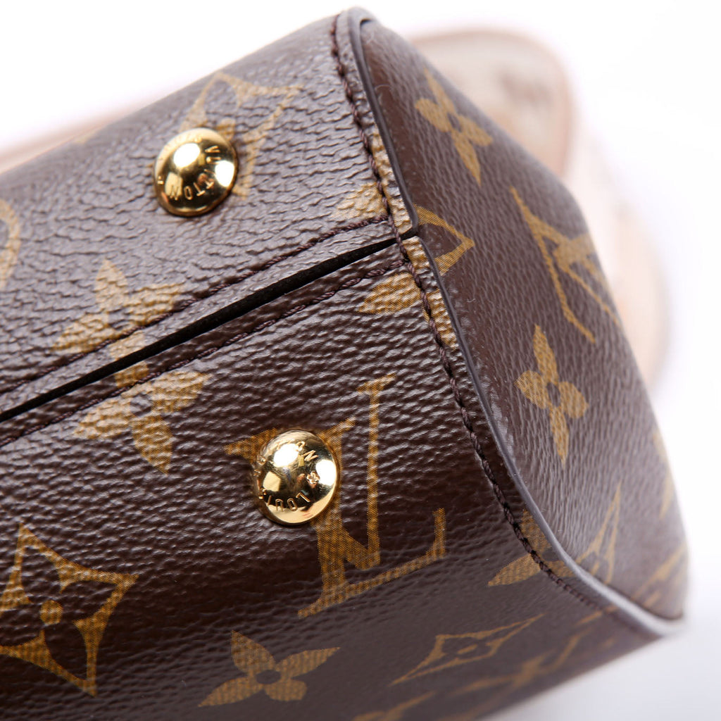 Louis Vuitton Cluny Mini Monogram