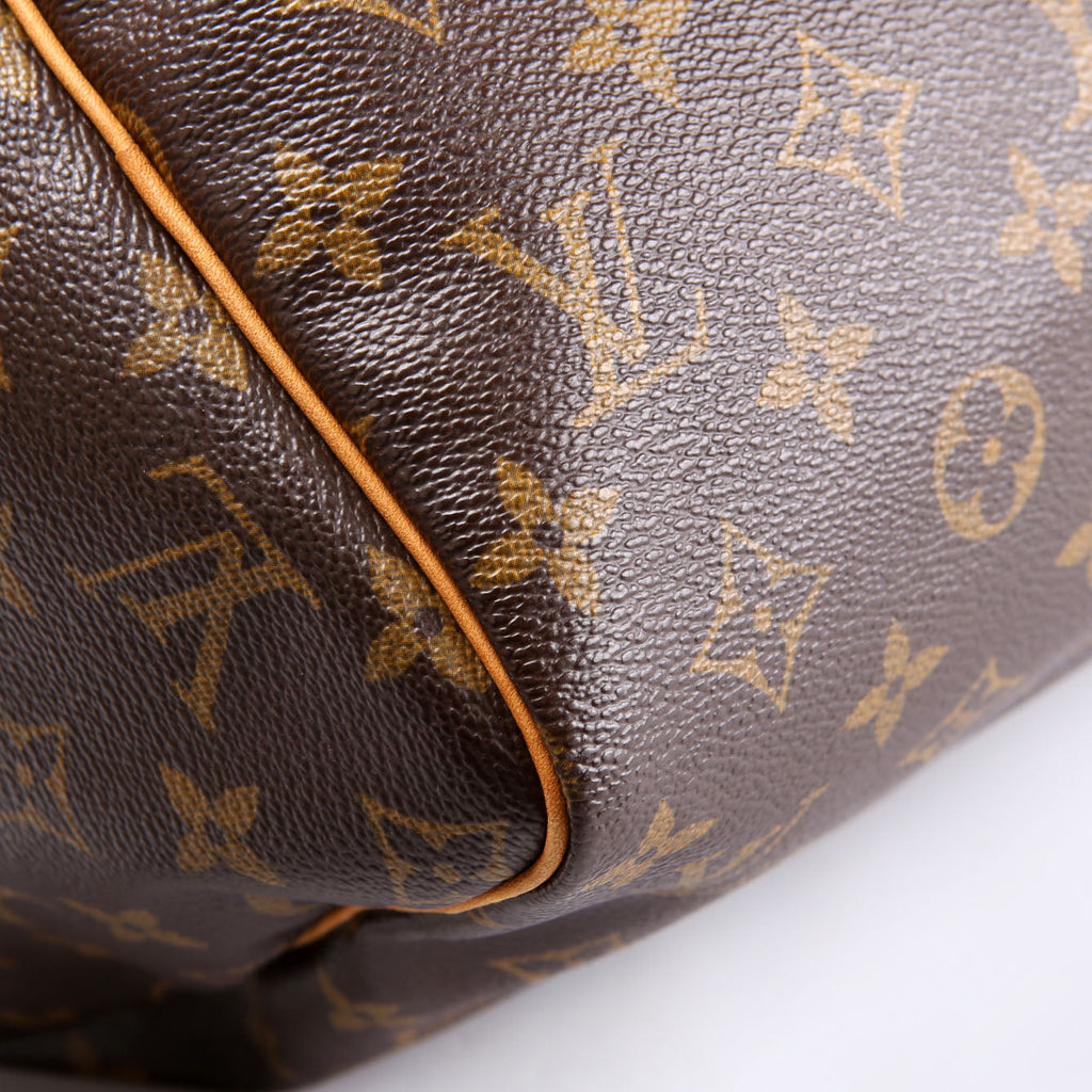 Louis Vuitton Speedy 30 Monogram