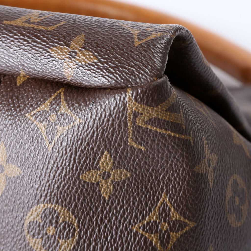 Louis Vuitton Artsy MM Monogram