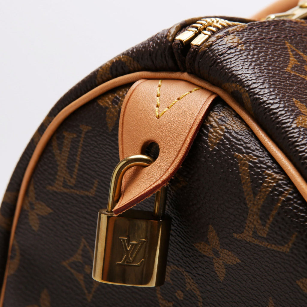 Louis Vuitton Speedy 30 Monogram Brown