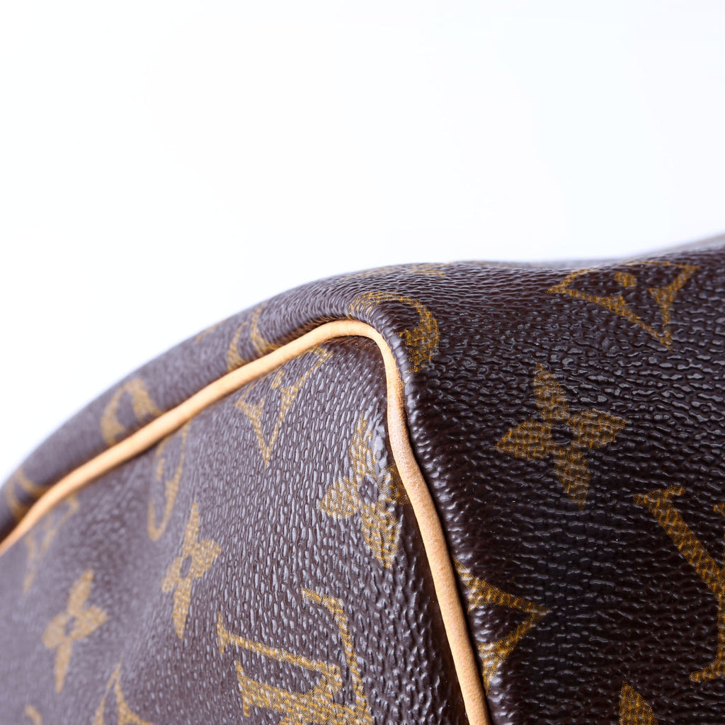 Louis Vuitton Speedy 30 Monogram