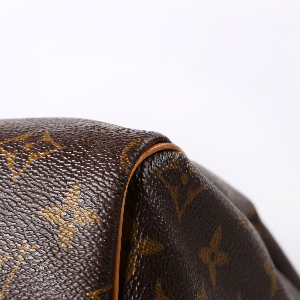 Louis Vuitton Speedy 30 Monogram