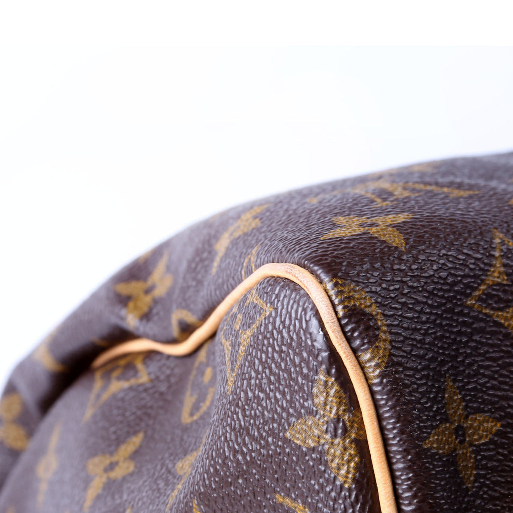 Louis Vuitton Speedy 30 Monogram