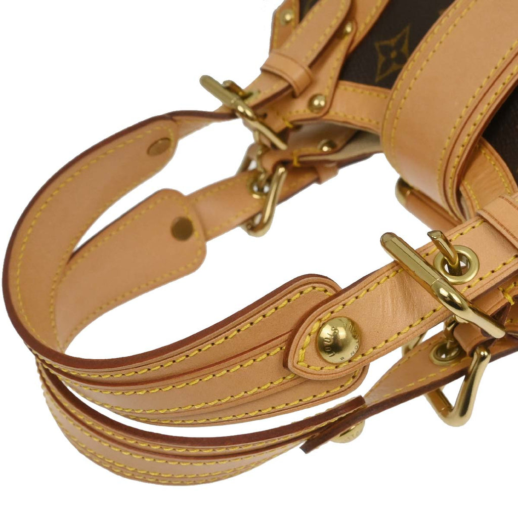 Louis Vuitton Monogram Theda PM Handbag M92399