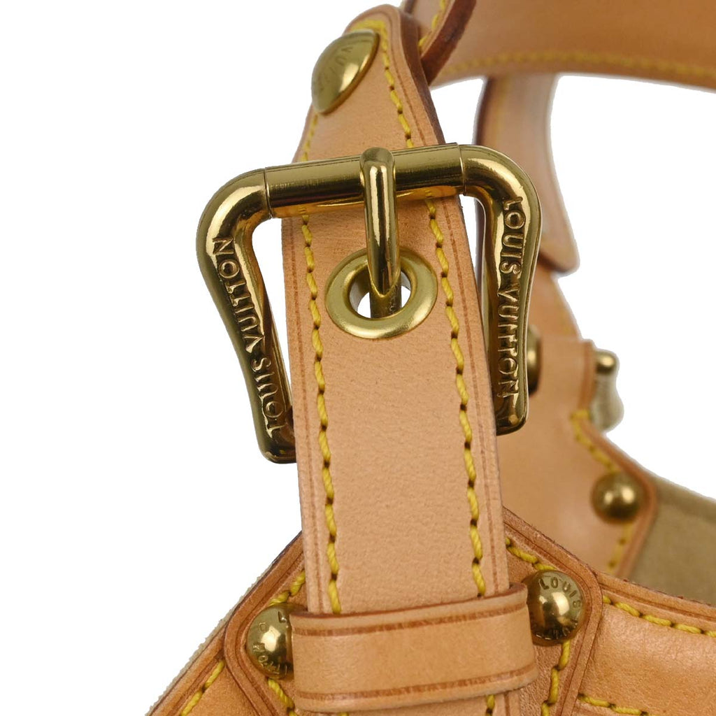 Louis Vuitton Monogram Theda PM Handbag M92399