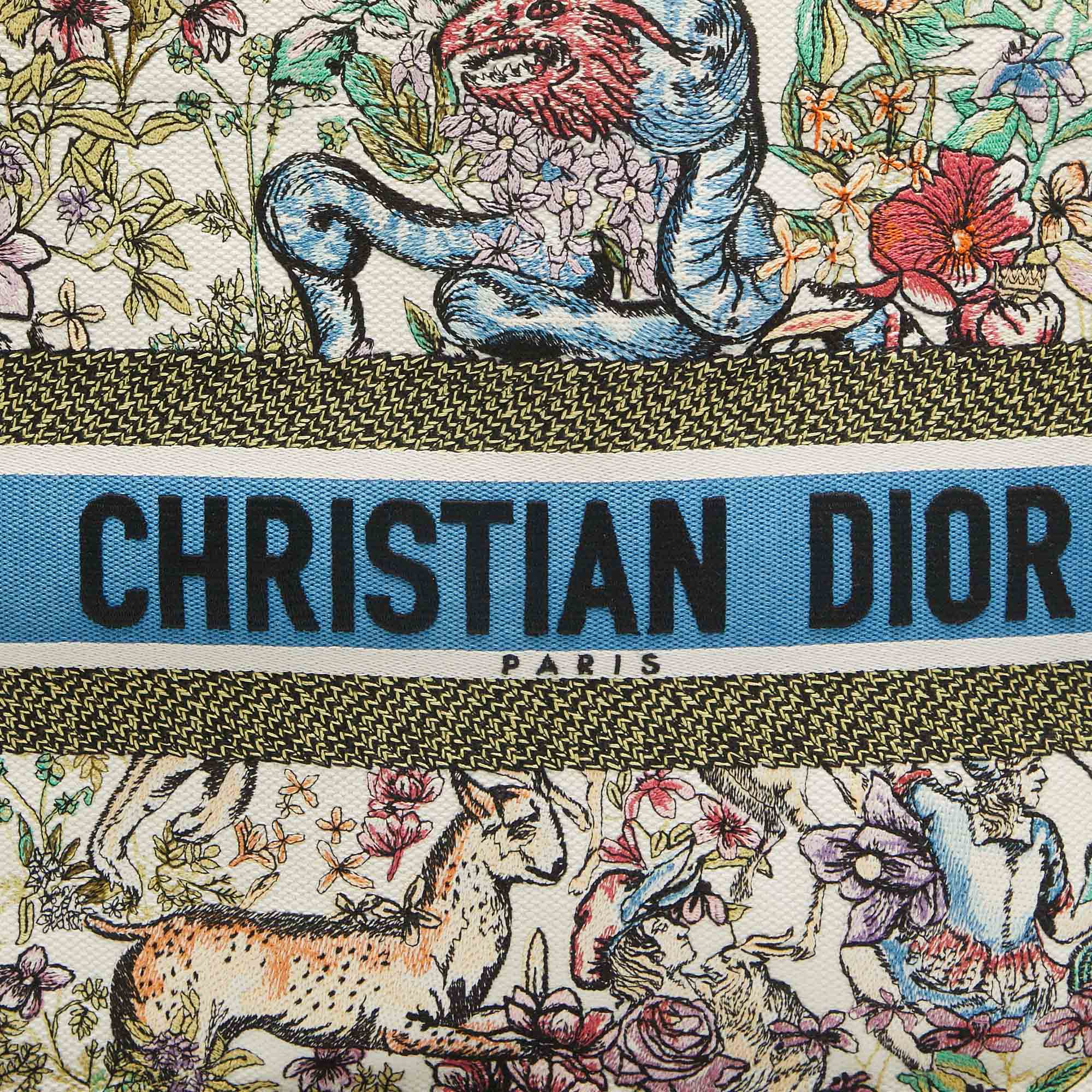 Dior color Embroidered Canvas Medium Book Tote