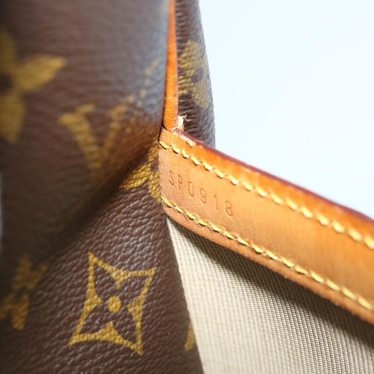 LOUIS VUITTON Reporter Shoulder Bag